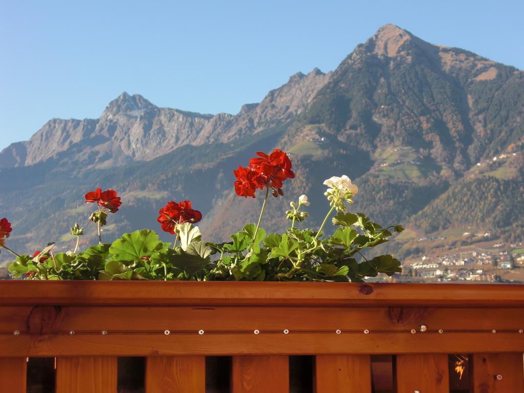 Garni Unterhaslerhof Meran